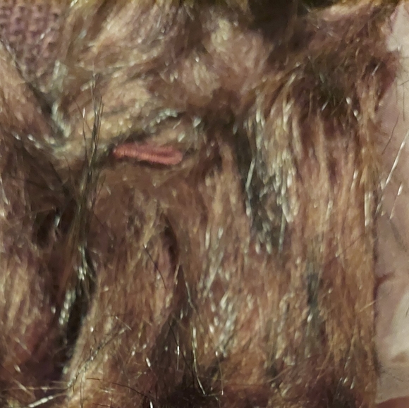 Fun Fall Vest - Picture 5 of 8